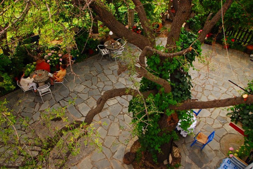 Atzanou Rooms Kamariotissa 部屋 写真